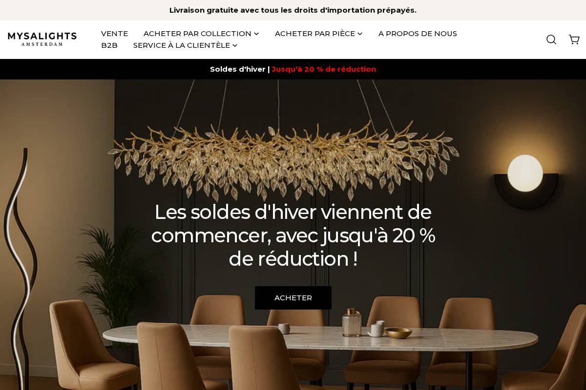 fr.mysalights.com homepage screenshot