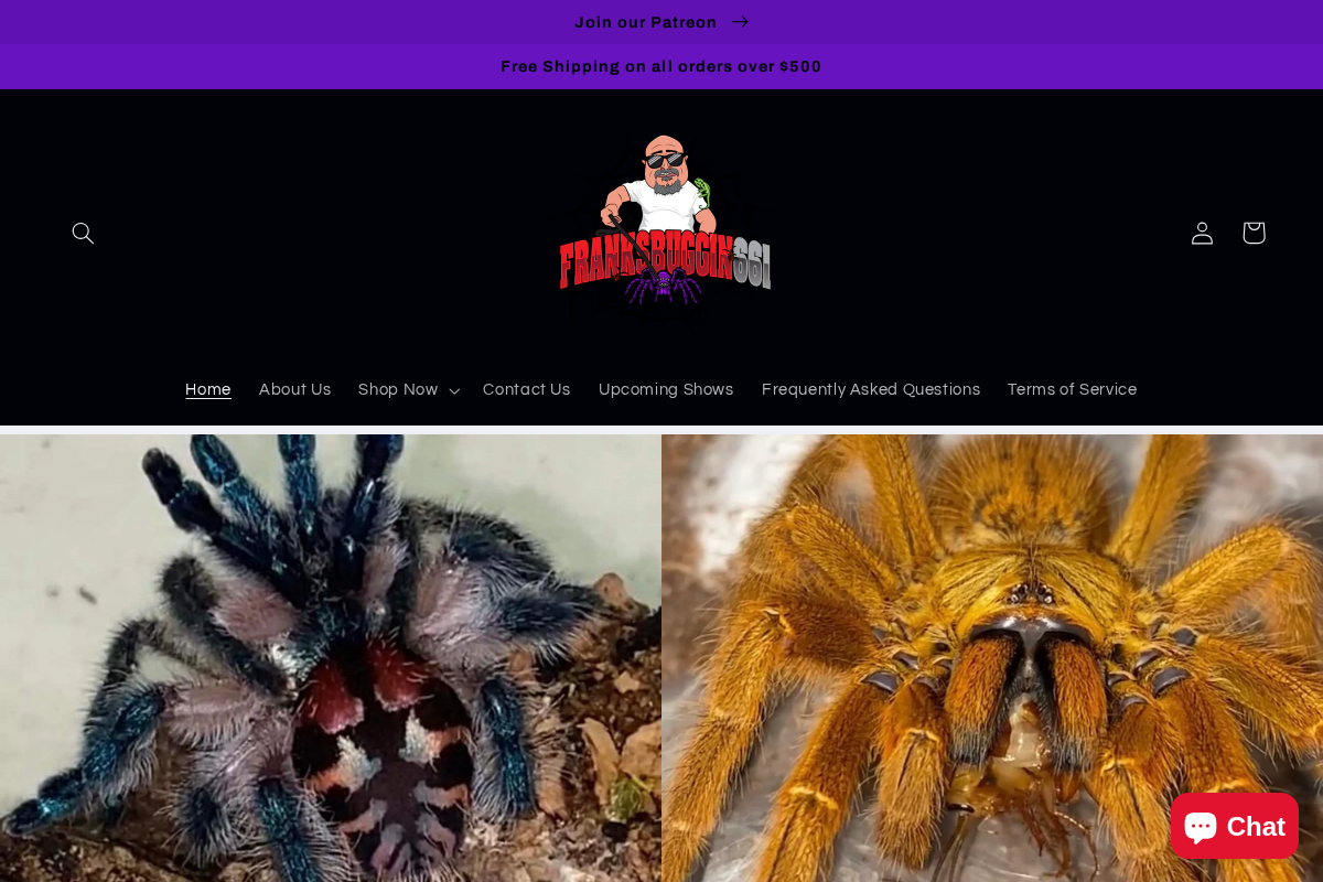 franksbuggin661.com homepage screenshot