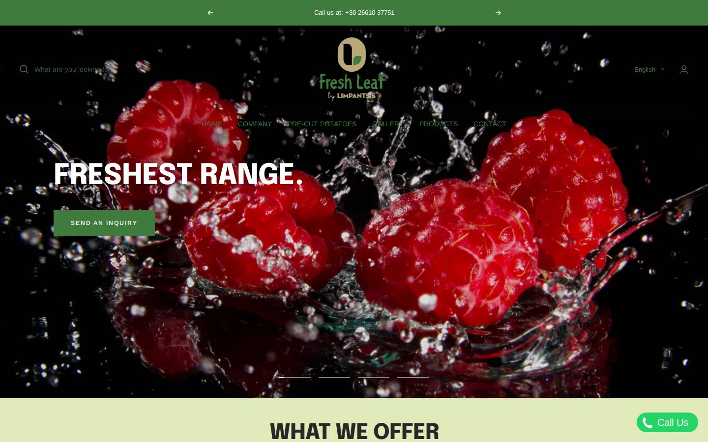 freshleaf.gr homepage screenshot