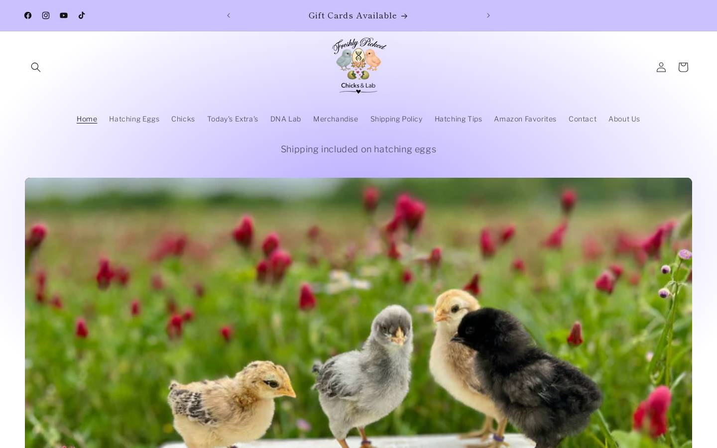 freshlypickedchicks.com homepage screenshot