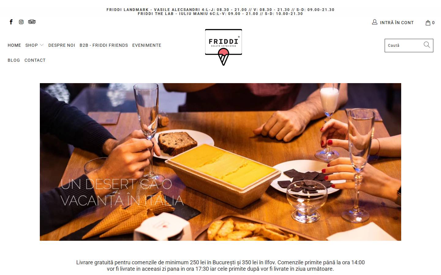 friddi.com homepage screenshot