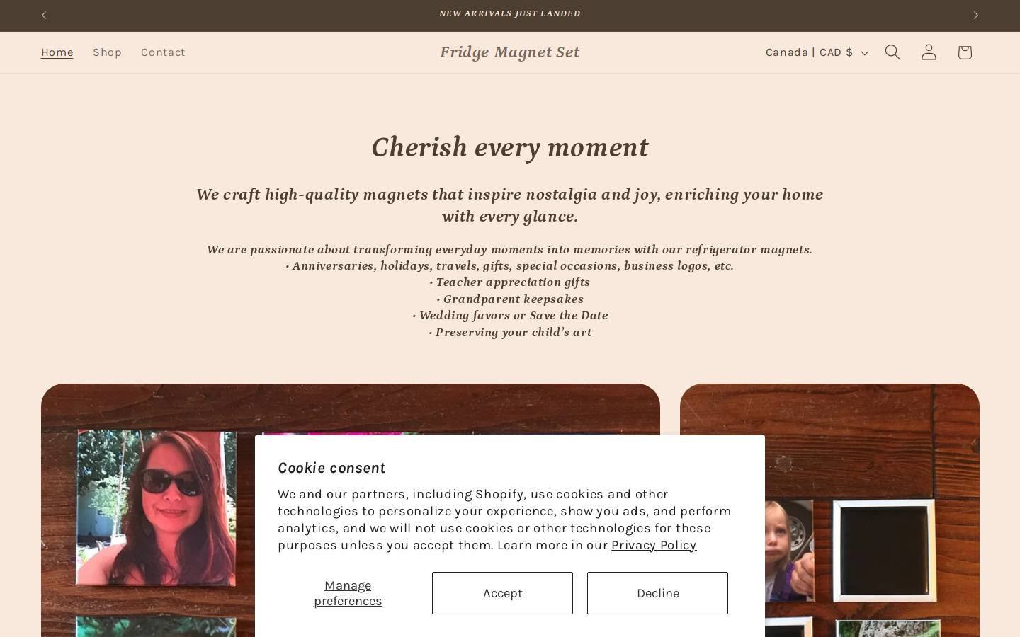 fridgemagnetset.com homepage screenshot