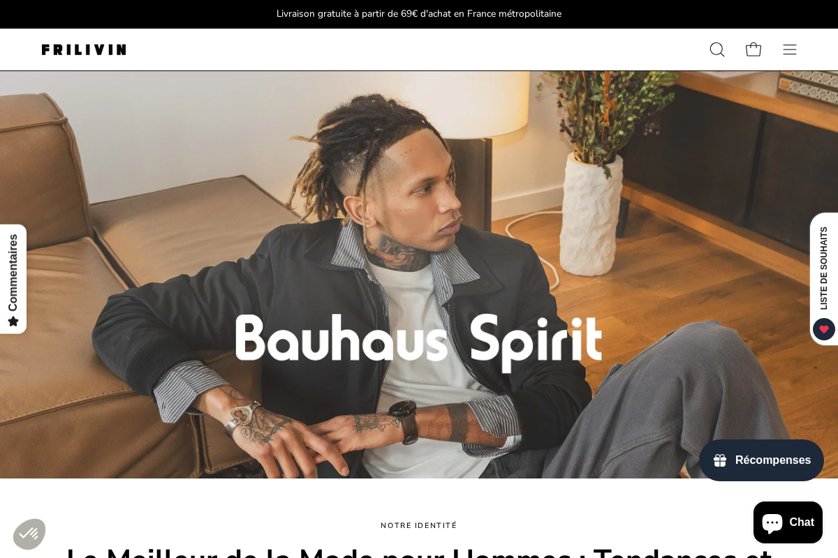 Frilivin.fr homepage screenshot