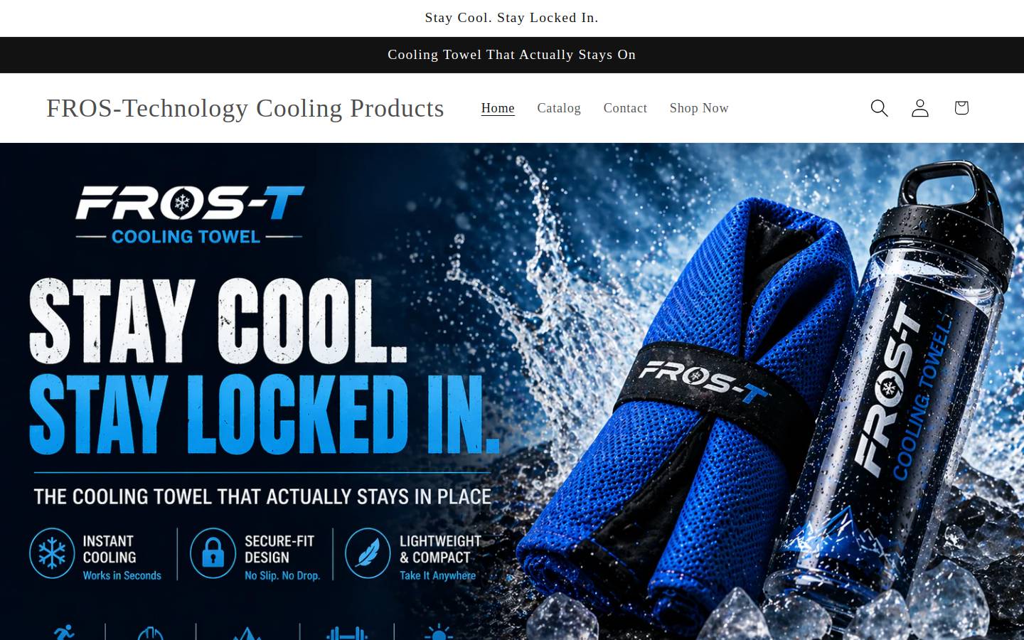 fros-t.com homepage screenshot