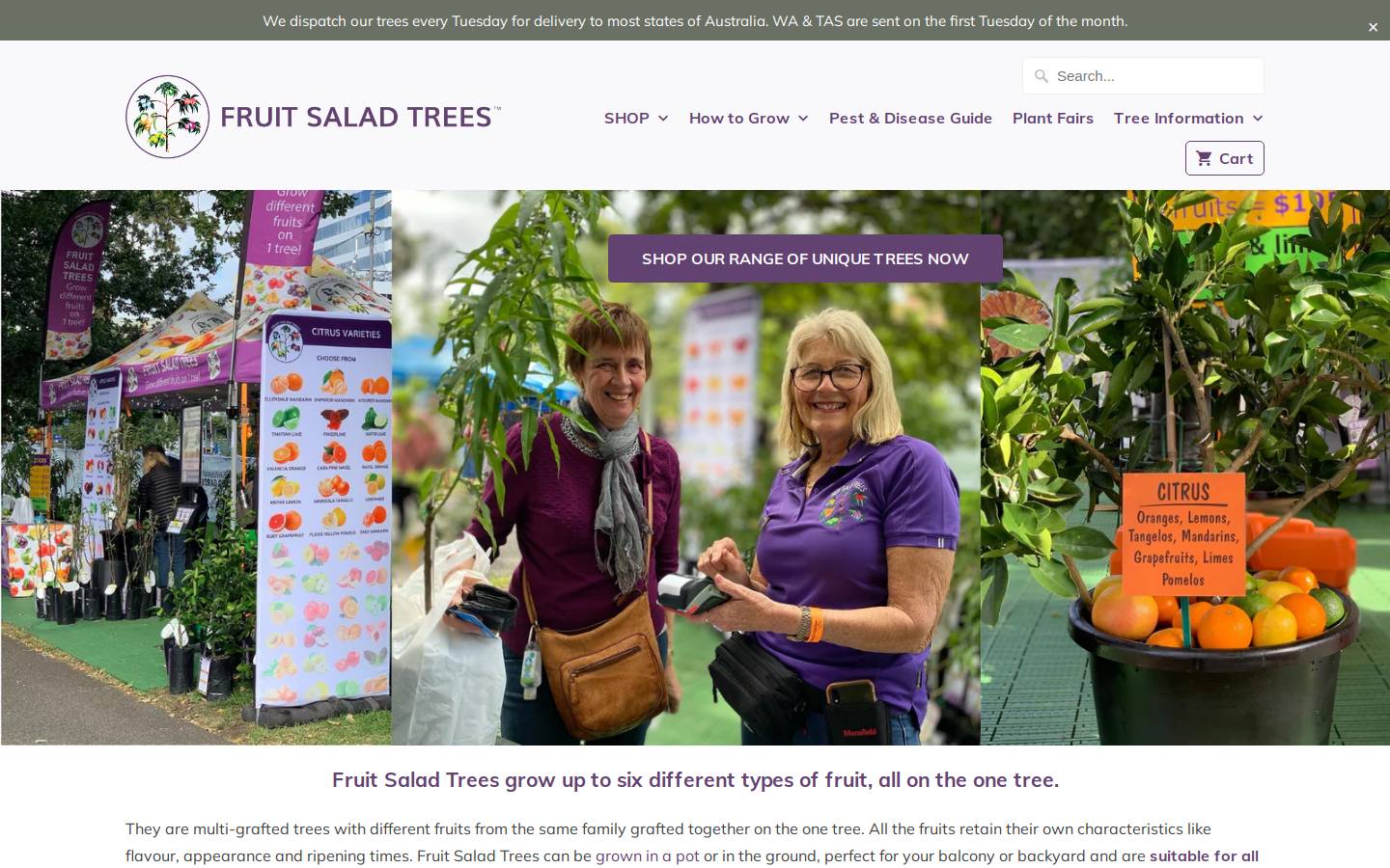 fruitsaladtrees.com homepage screenshot