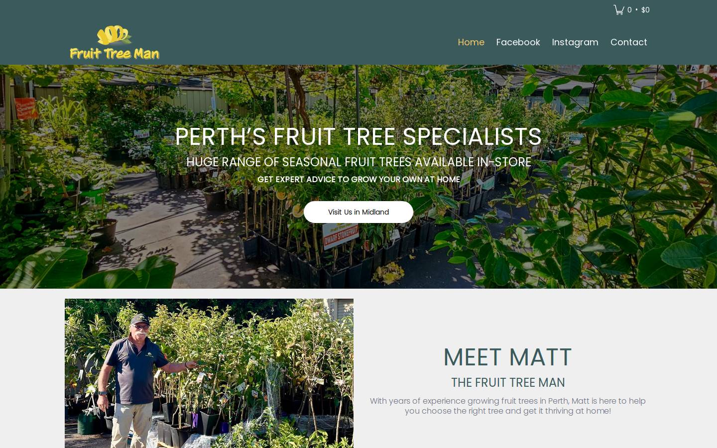 fruittreeman.com.au homepage screenshot