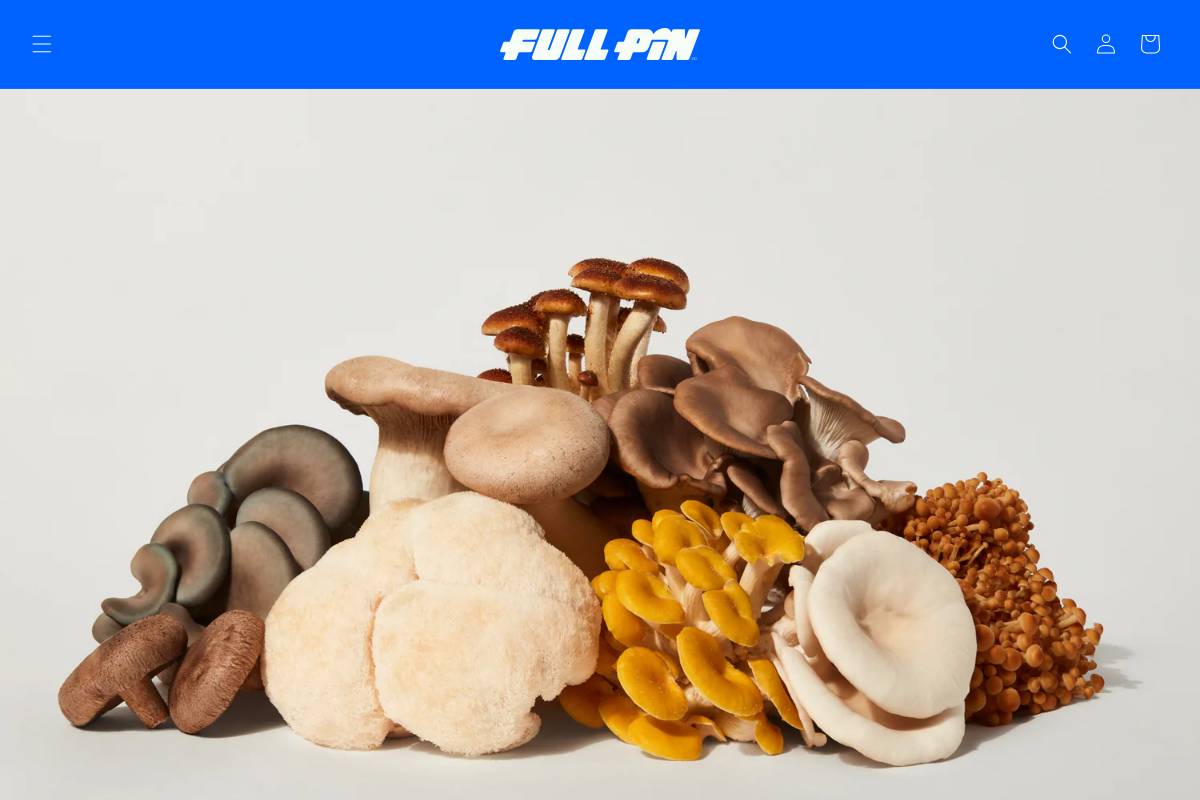 fullp.in homepage screenshot