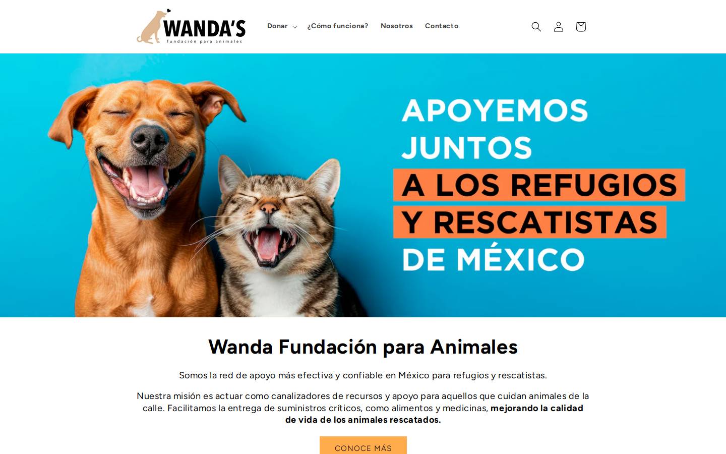 fundacionwanda.org homepage screenshot