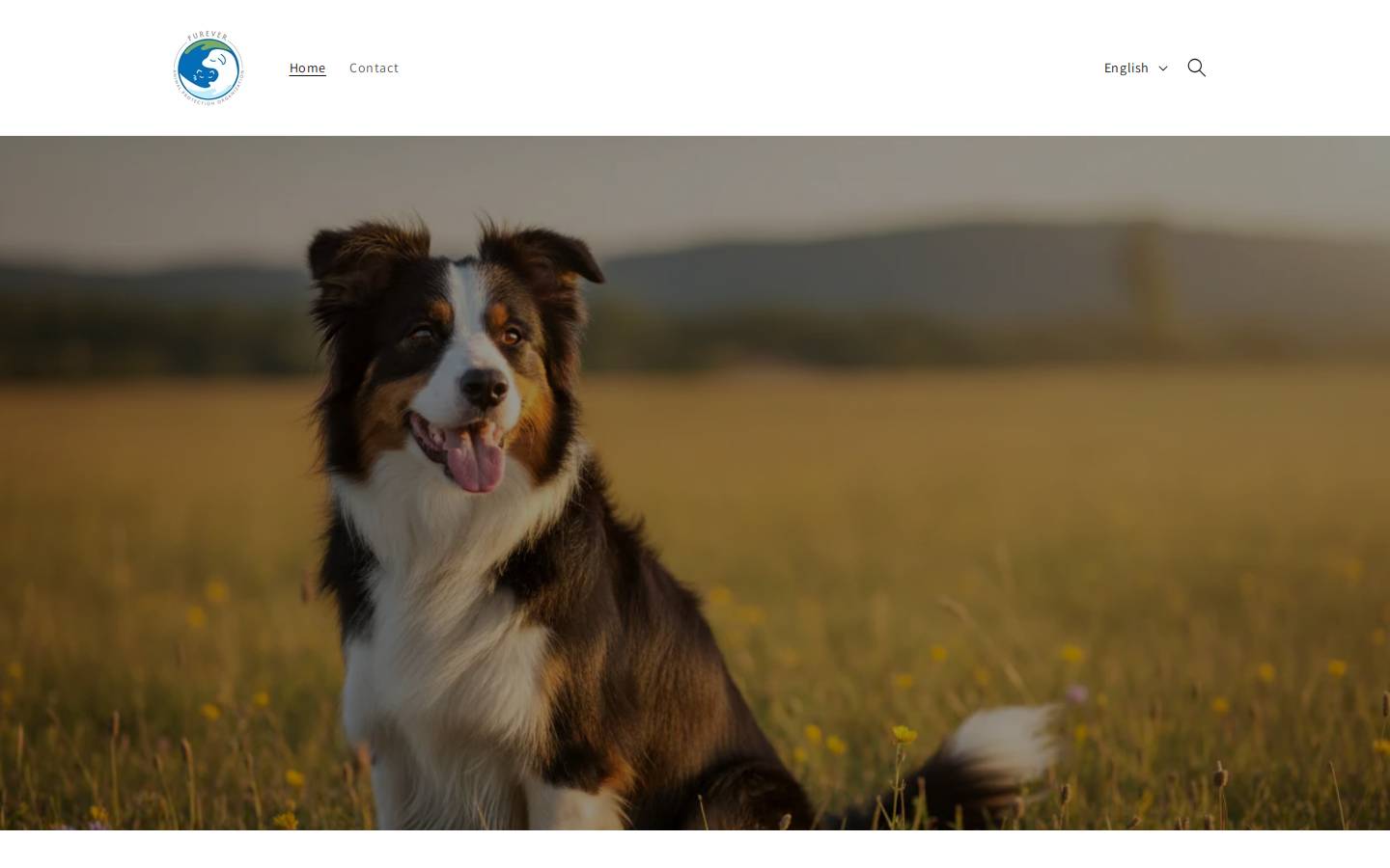 fureveranimalprotection.com homepage screenshot