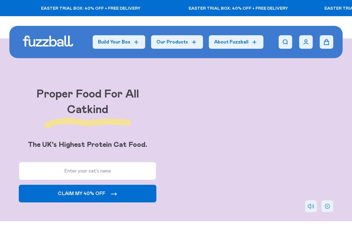 Fuzzball homepage screenshot