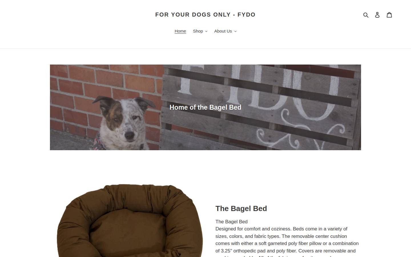 fydoonline.com homepage screenshot