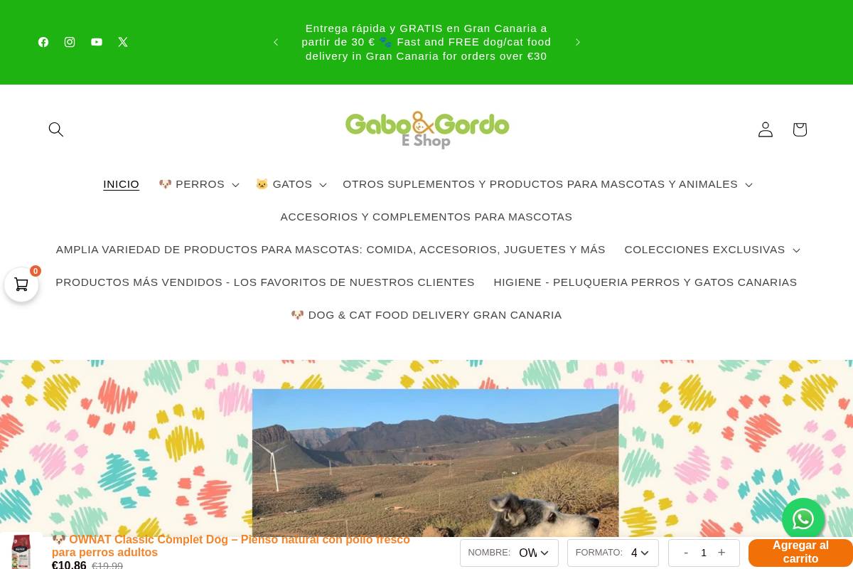 gaboygordoeshop.com homepage screenshot