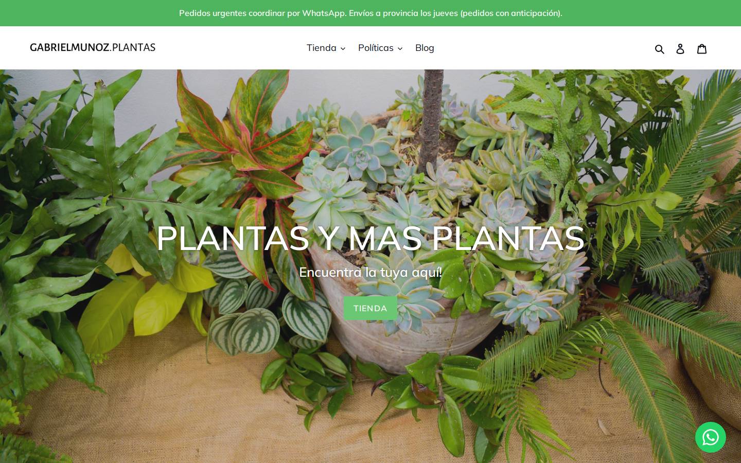 gabrielmunozplantas.com homepage screenshot