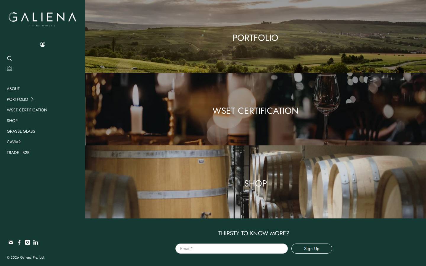 galiena.sg homepage screenshot