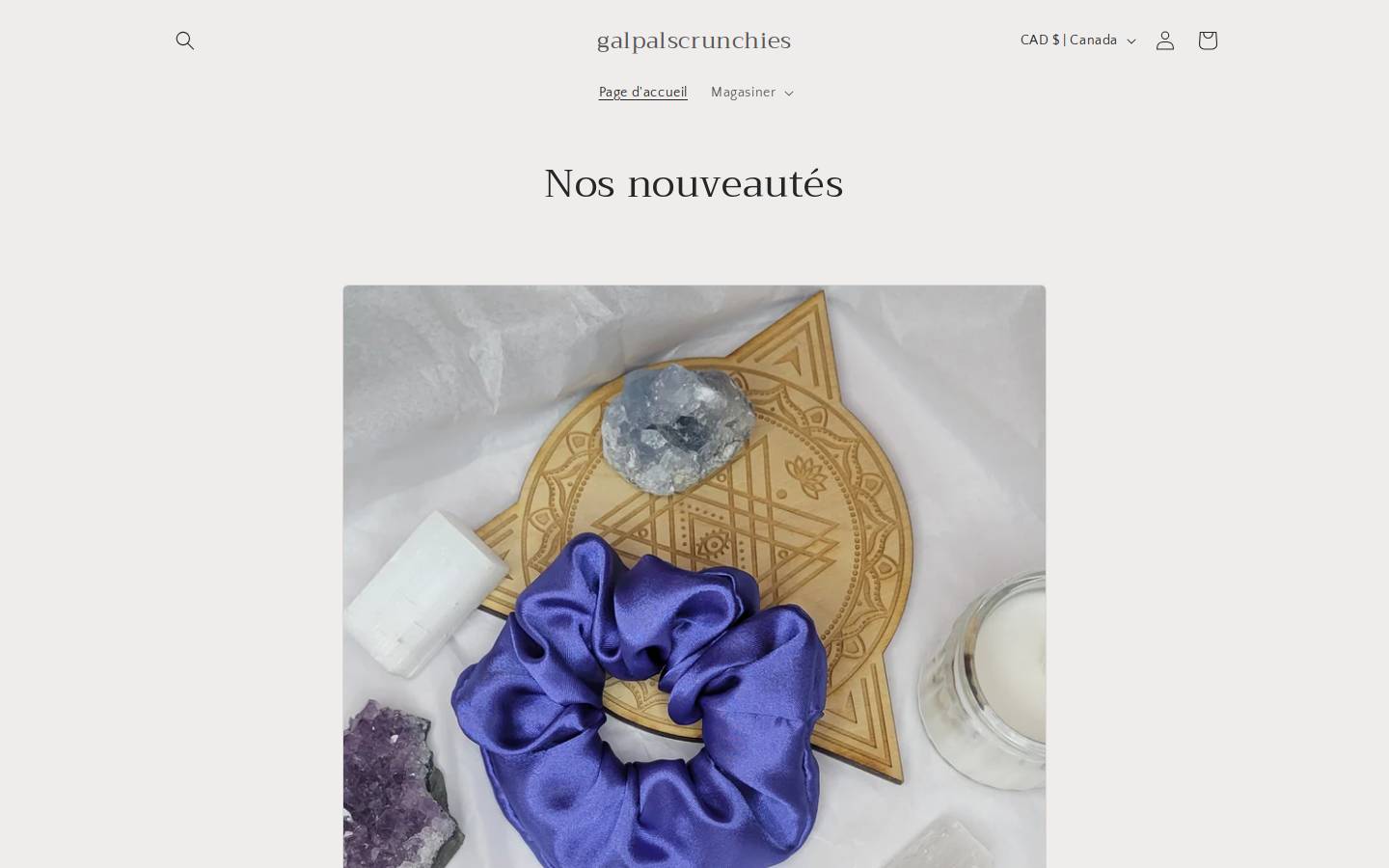 galpalscrunchies.com homepage screenshot