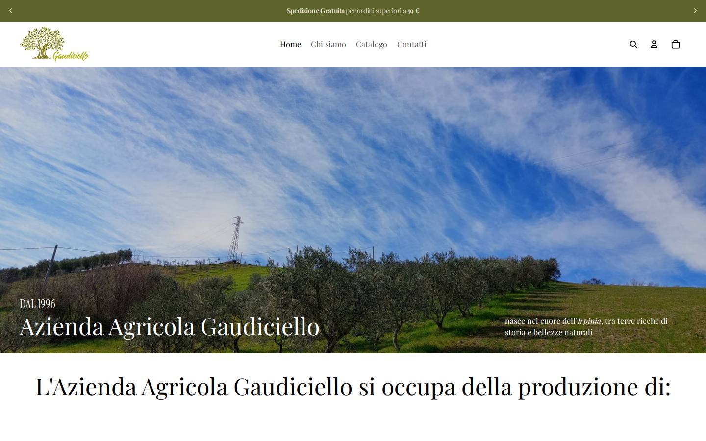 gaudiciello.it homepage screenshot