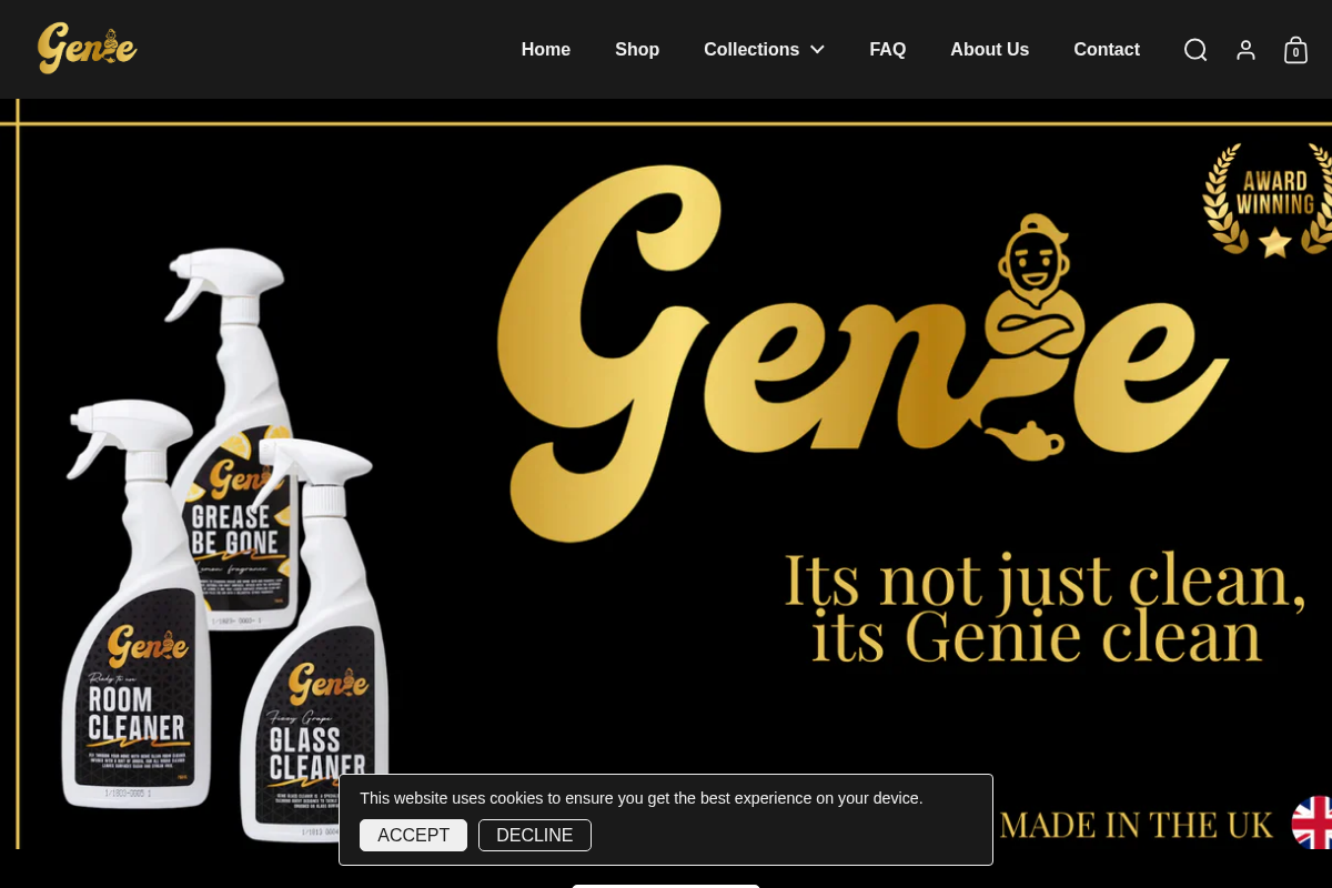 Genie Clean homepage screenshot