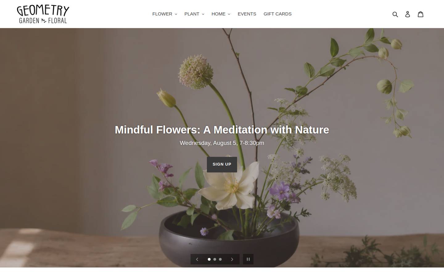 geometrygardensshop.com homepage screenshot