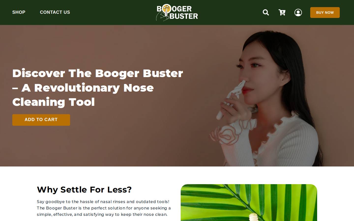 getboogerbuster.com homepage screenshot