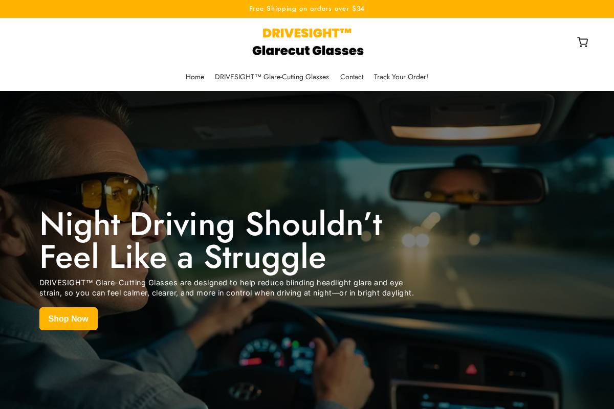 getdrivesight.com homepage screenshot