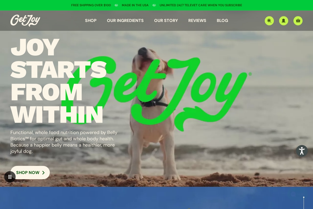 Get Joy homepage screenshot