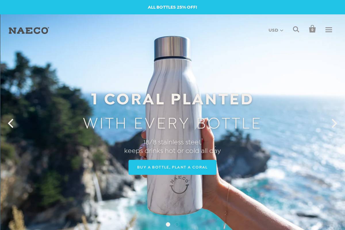 NAECO homepage screenshot