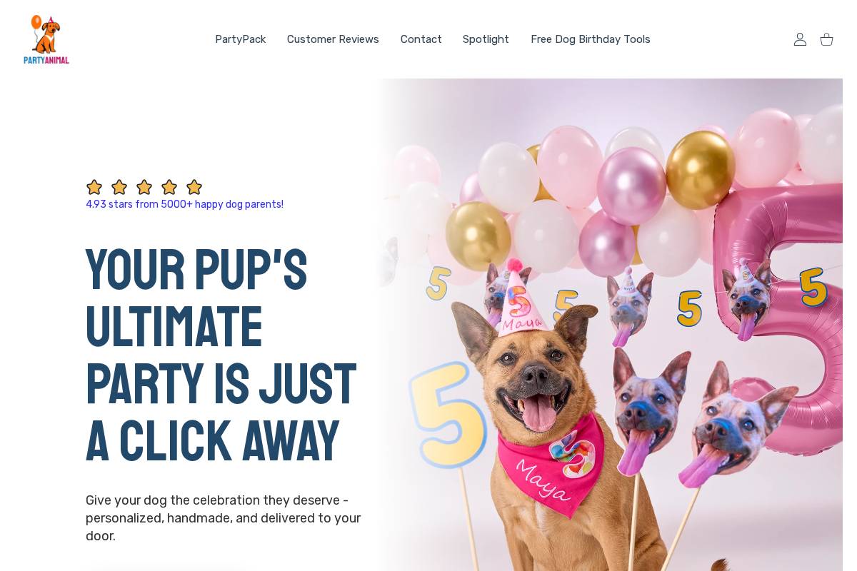 PartyAnimal homepage screenshot