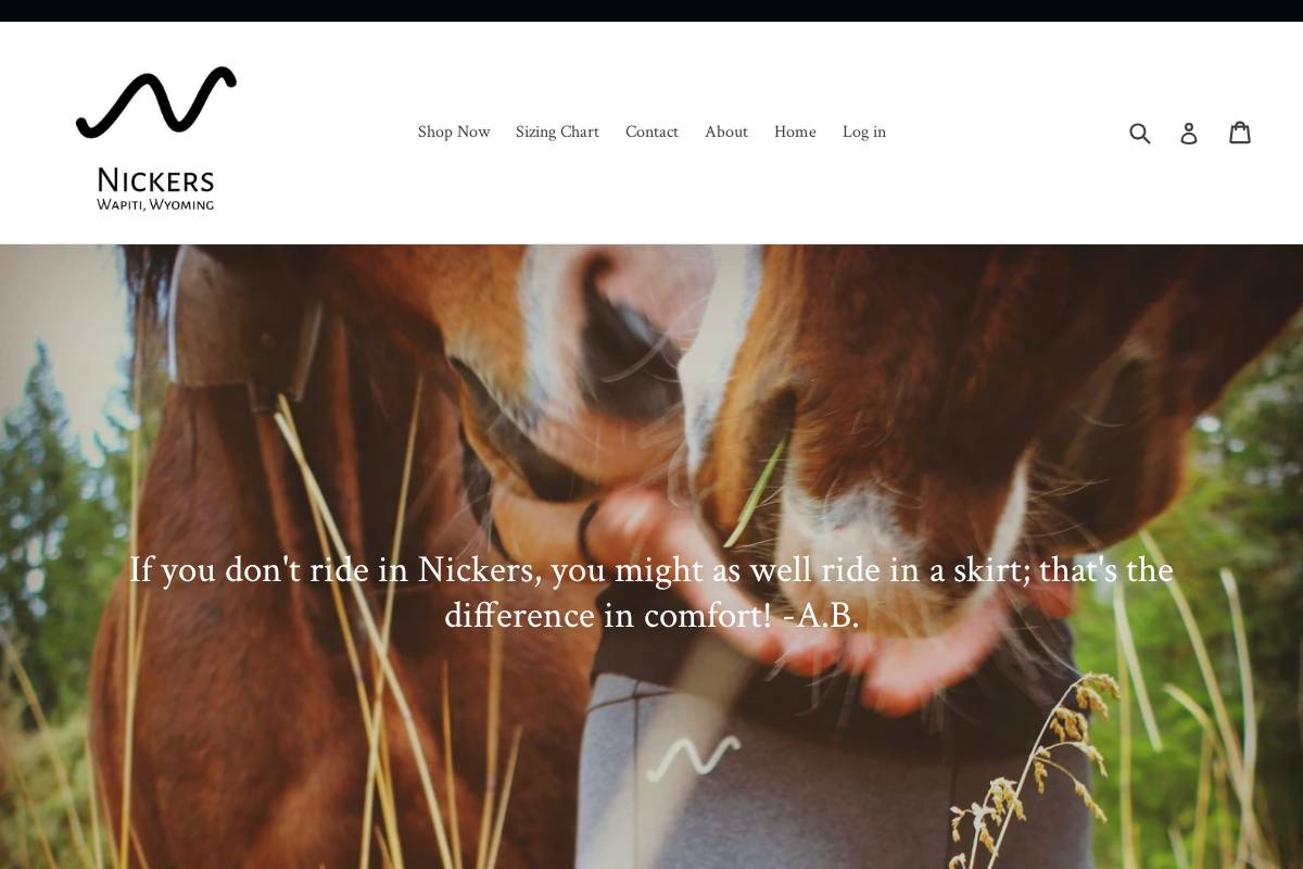 getyournickers.com homepage screenshot