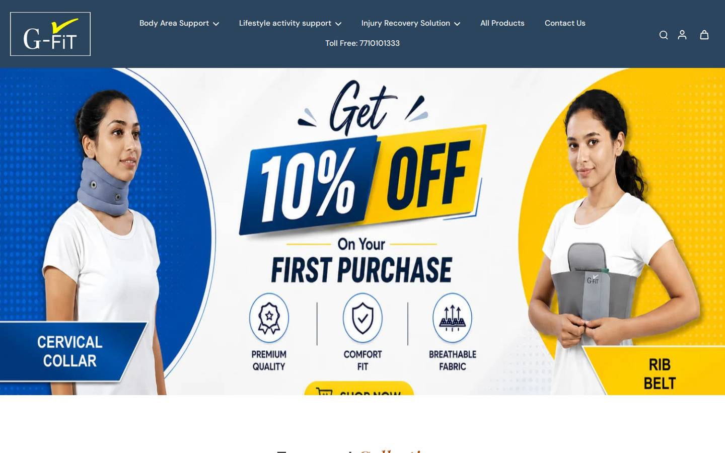 gfitindia.com homepage screenshot