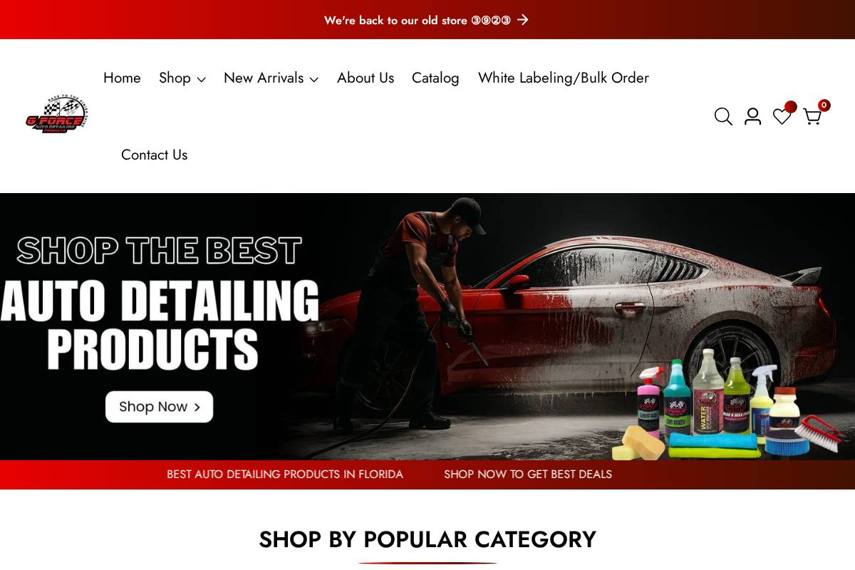 gforceautodetailing.com homepage screenshot