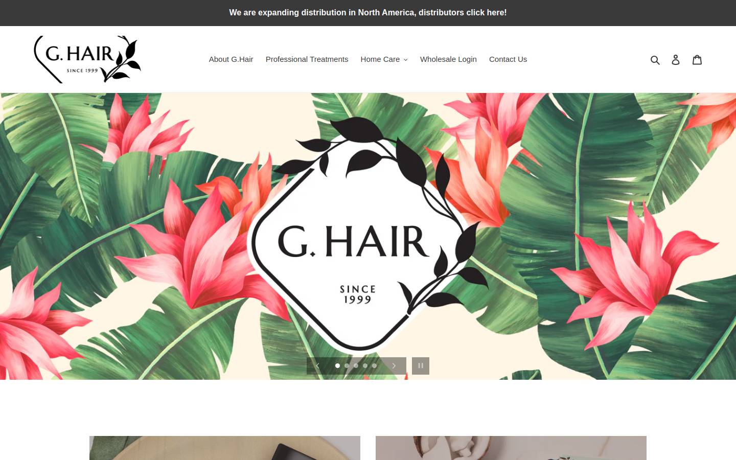ghairprofessional.com homepage screenshot