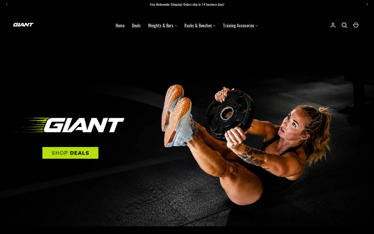 giantlifting.com homepage screenshot