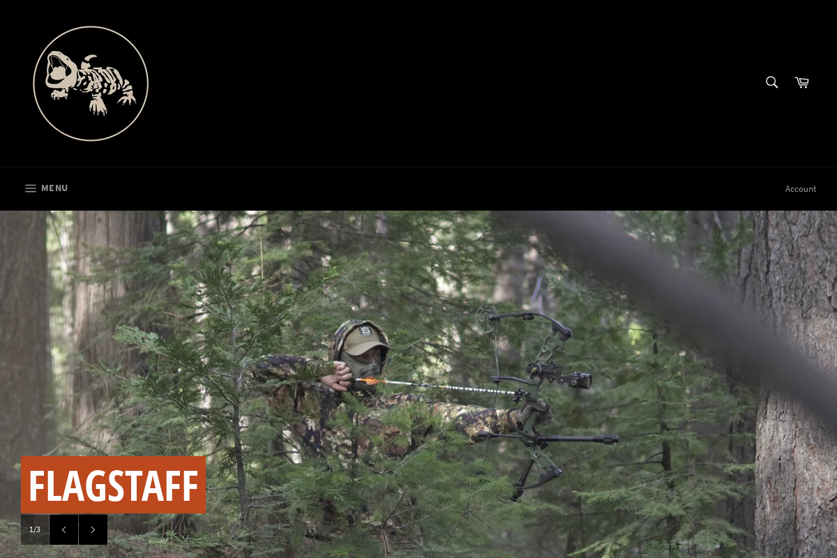 Gila Conceal homepage screenshot