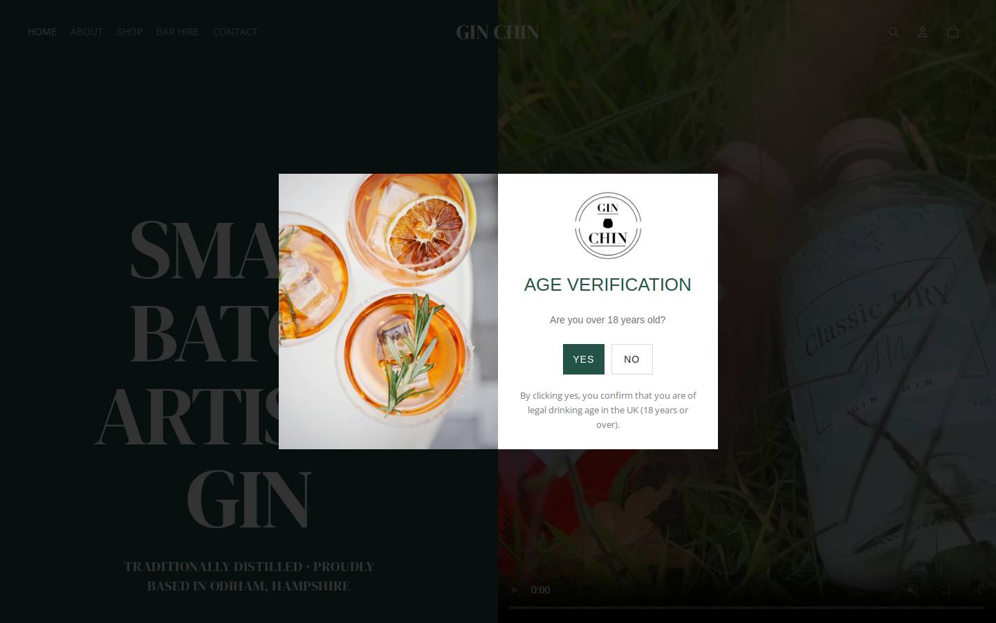 gin-chin.com homepage screenshot