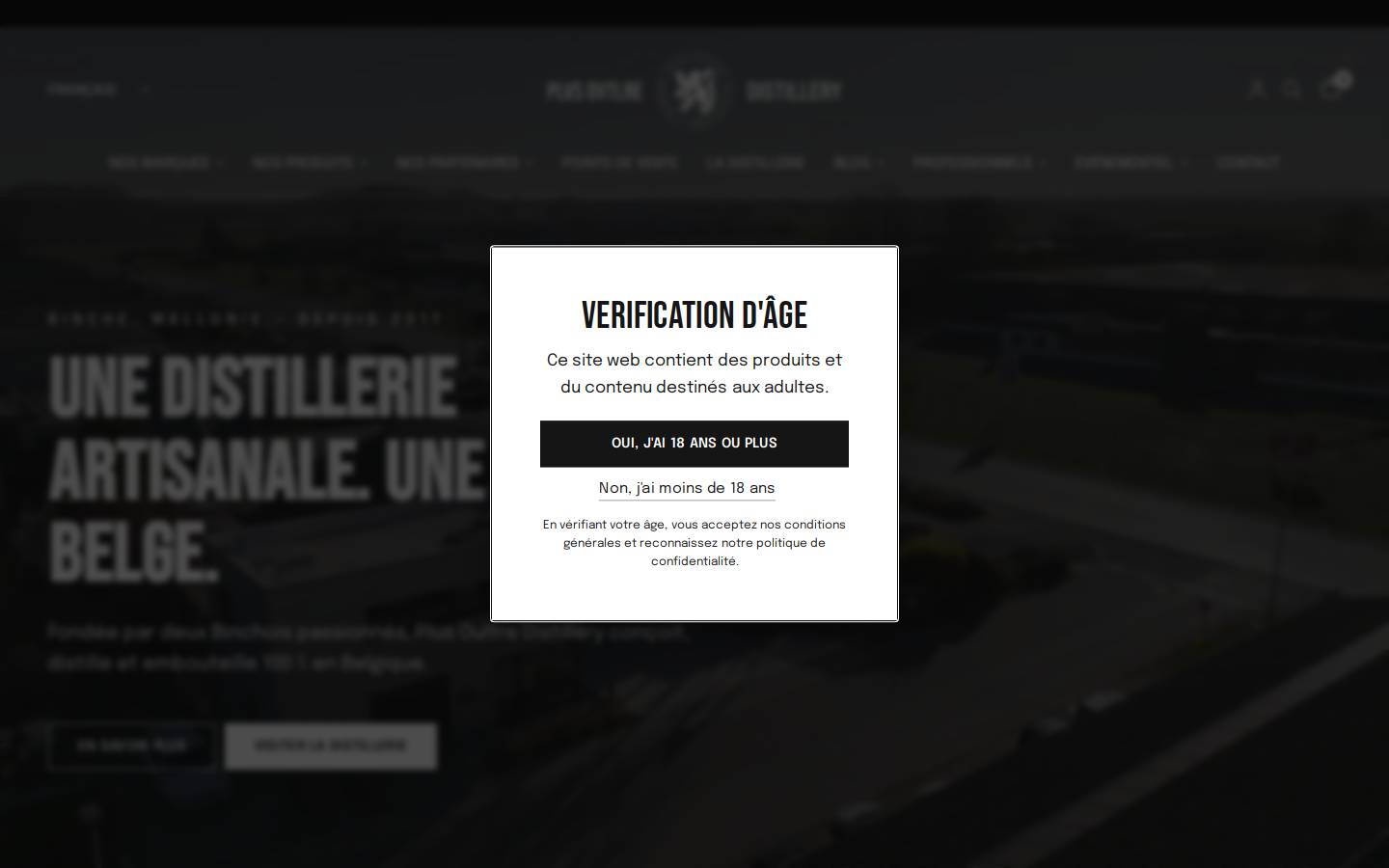 gindebinche.be homepage screenshot