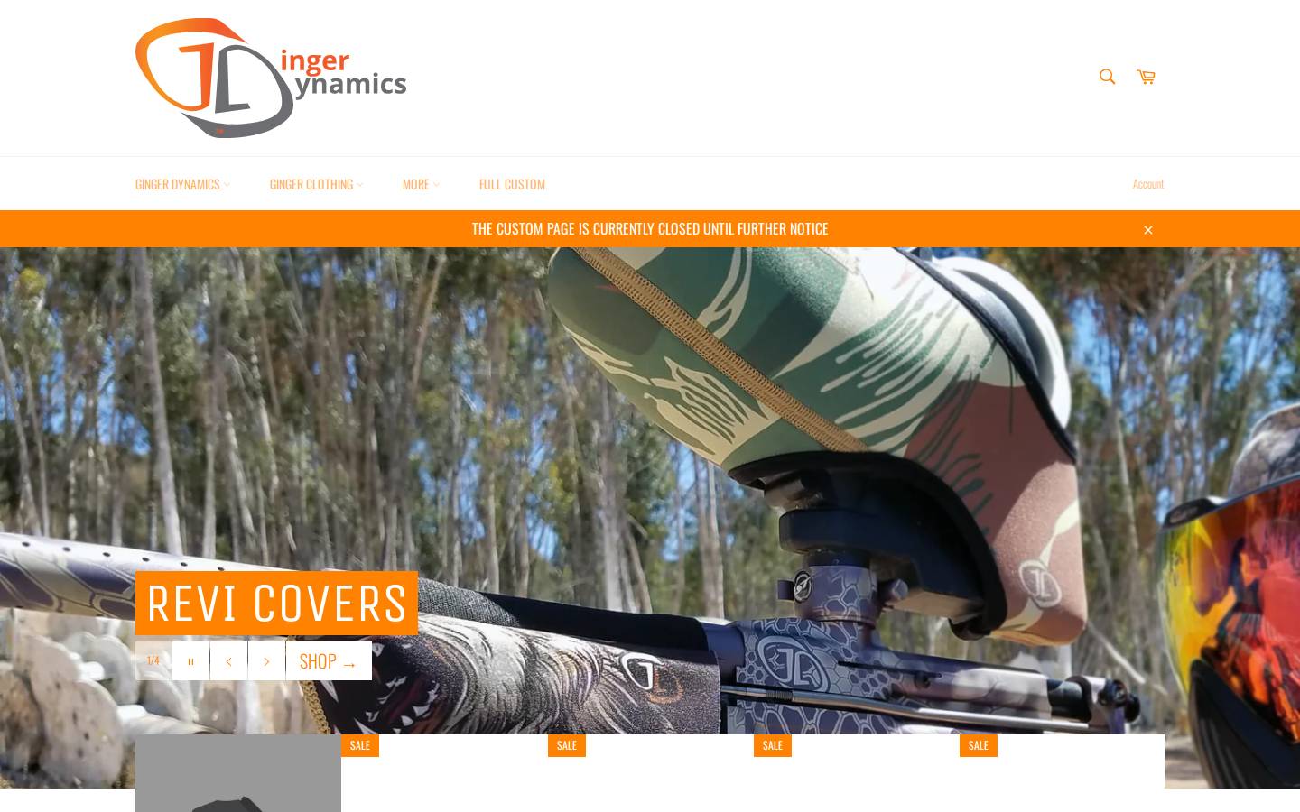 gingerdynamics.com homepage screenshot