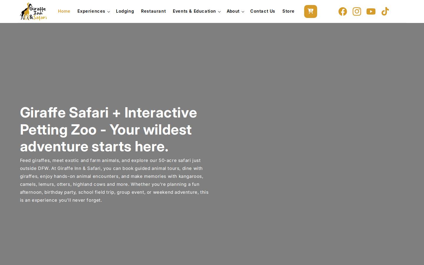 giraffeinnandsafari.com homepage screenshot