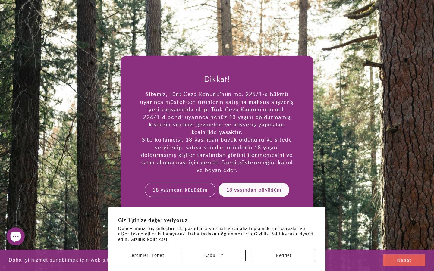 gizlisekme.co homepage screenshot