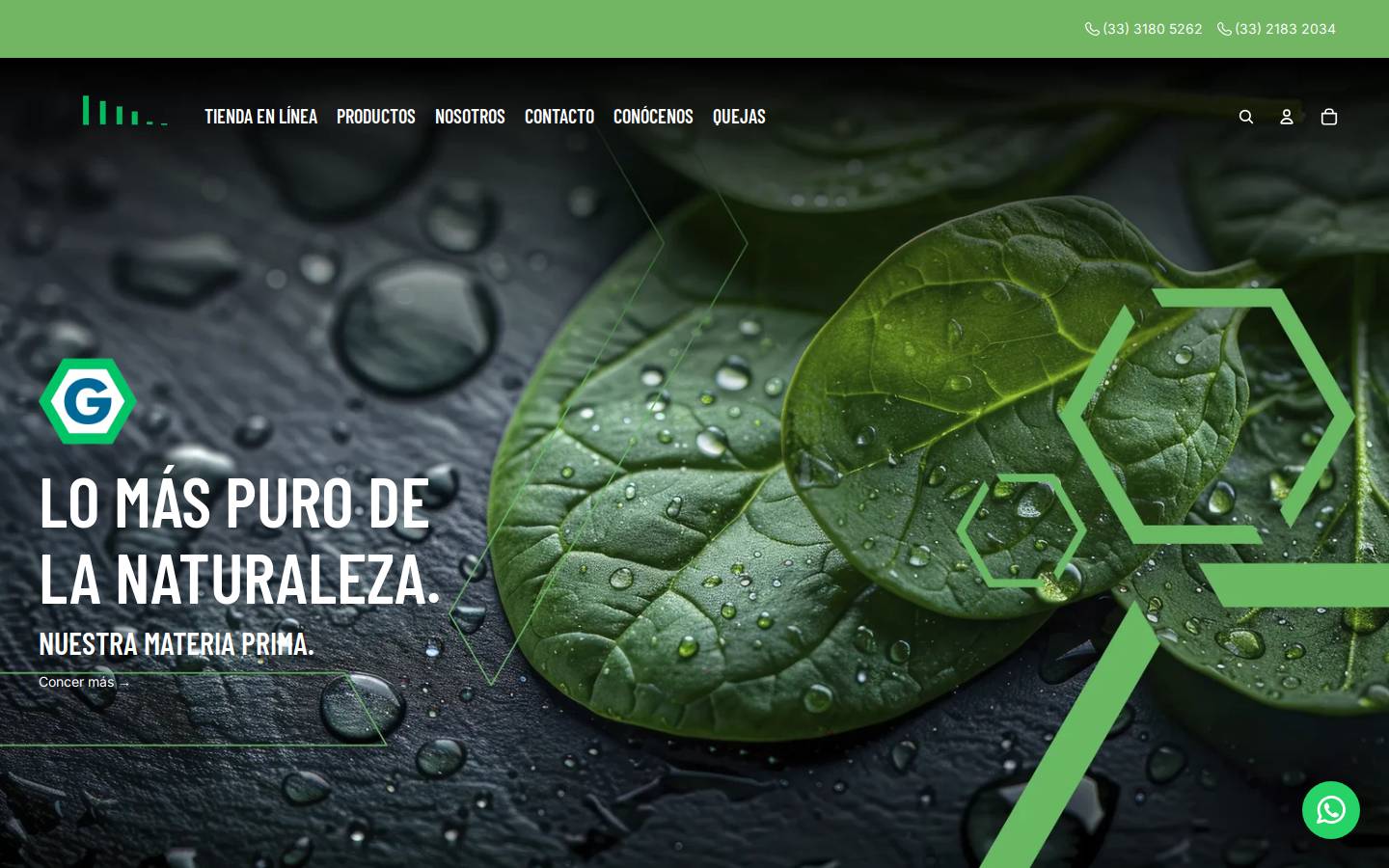 glinsa.com.mx homepage screenshot