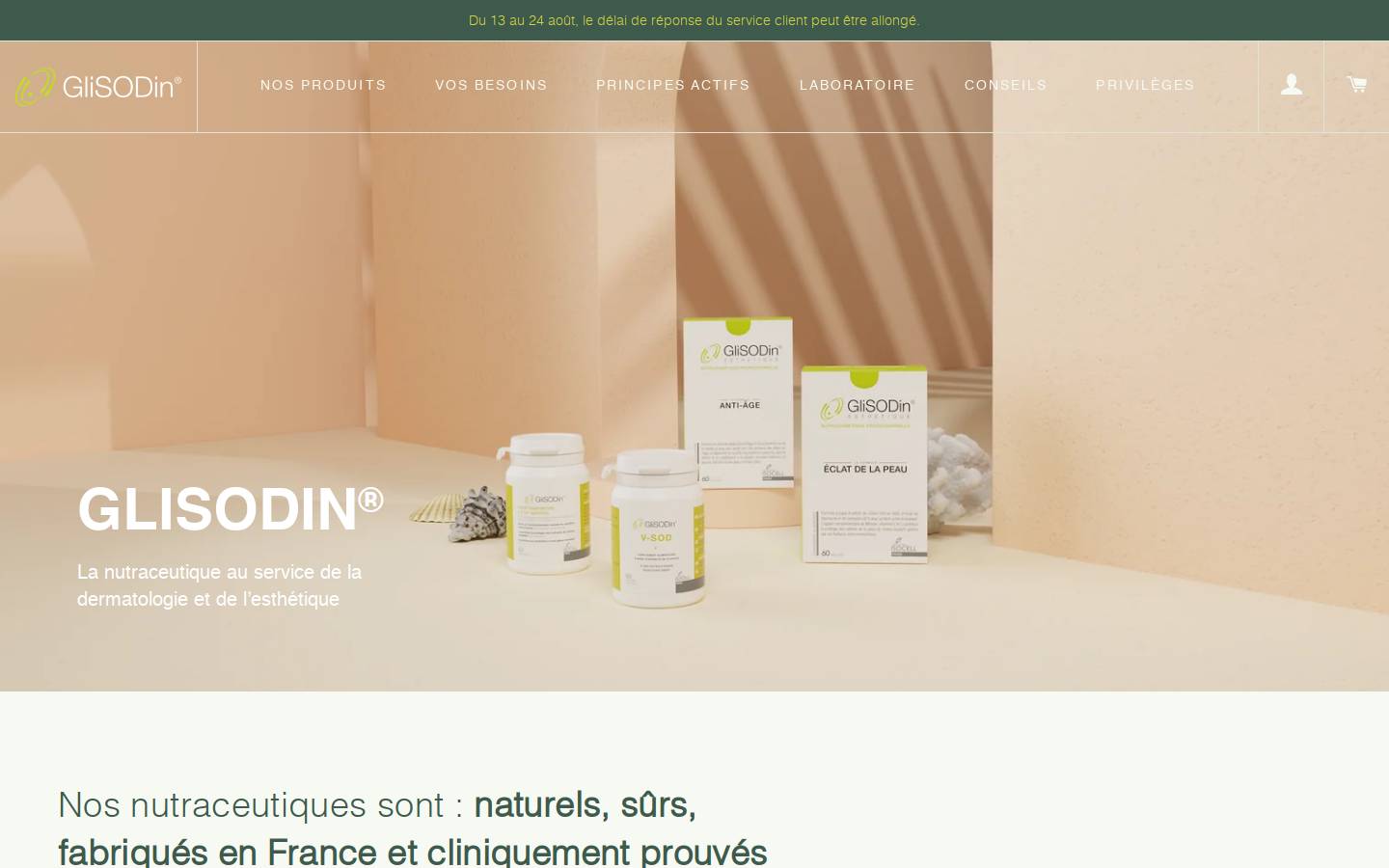 glisodin.fr homepage screenshot