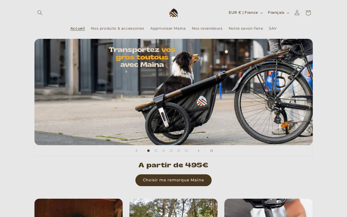 Globe For You homepage screenshot