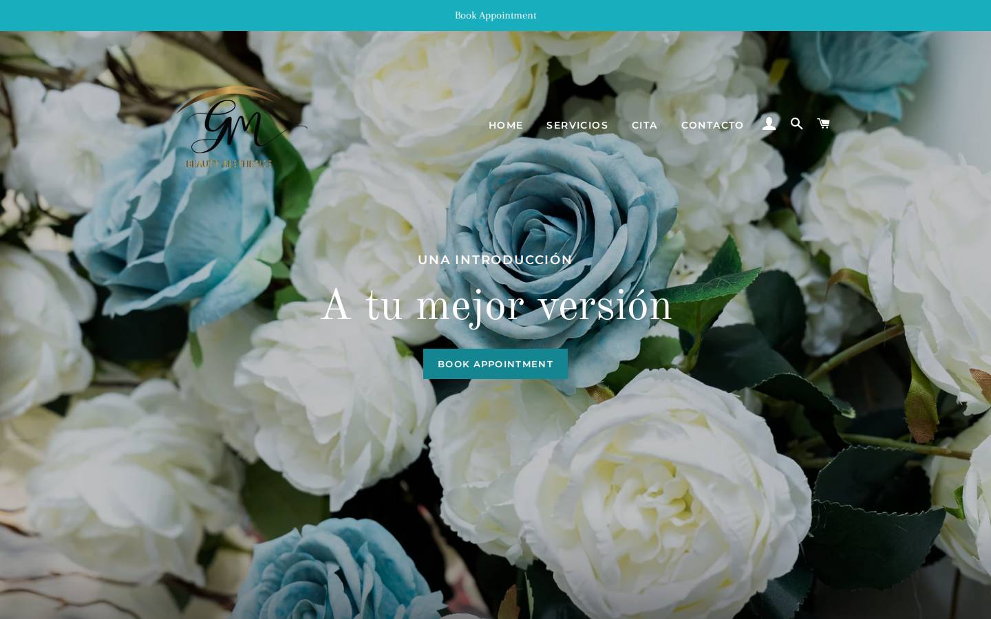 gmbeautyaesthetics.com homepage screenshot
