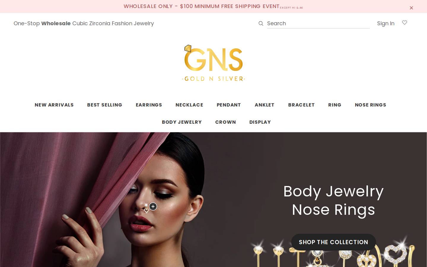 gnsny.com homepage screenshot