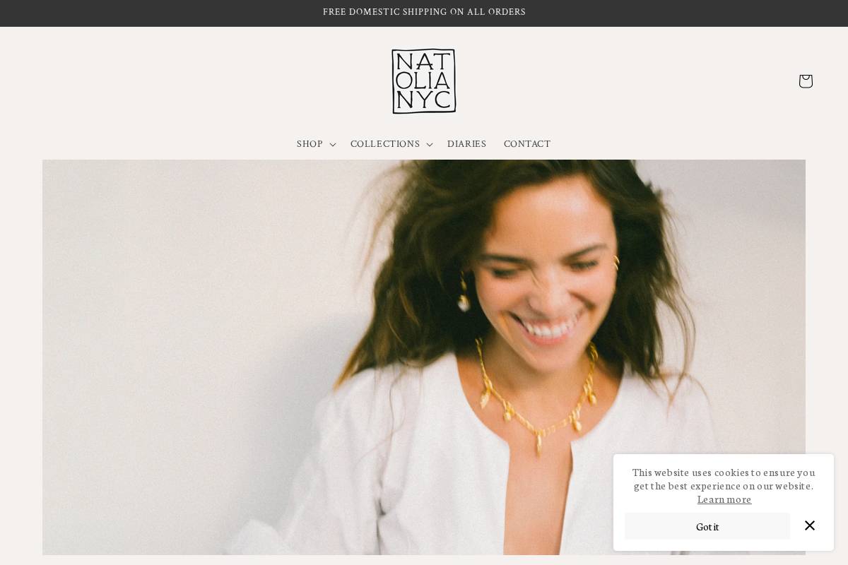 gokceguvenc.com homepage screenshot