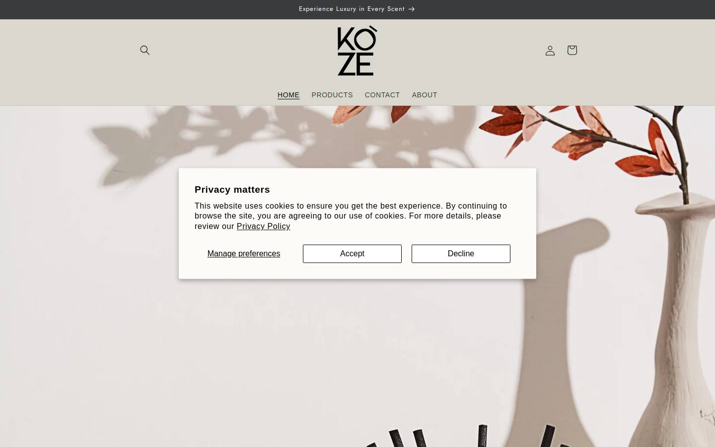 gokoze.com homepage screenshot