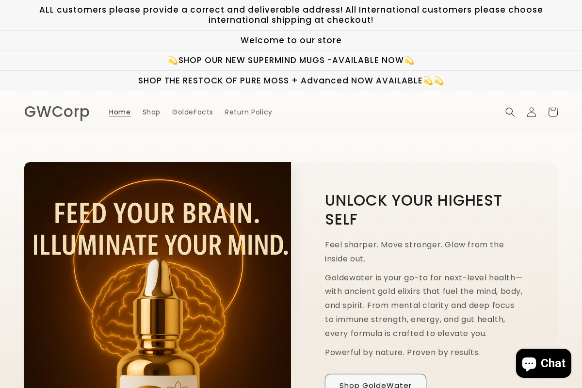 GWCorp homepage screenshot