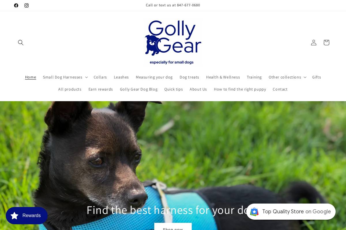 Golly Gear homepage screenshot