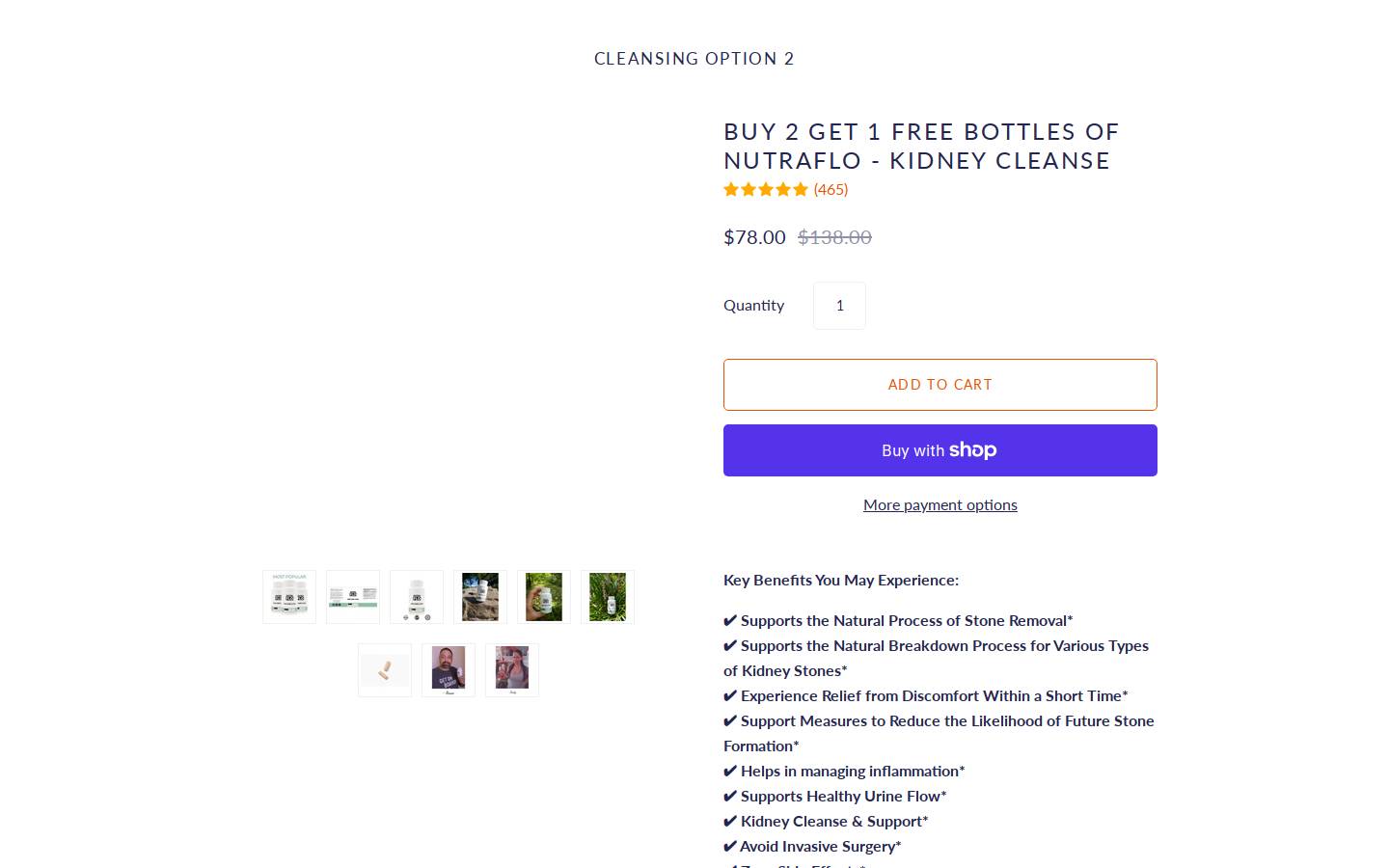 gonutraflo.com homepage screenshot