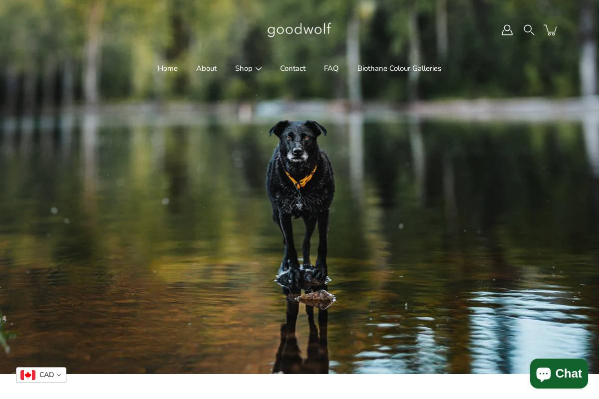 Goodwolf homepage screenshot