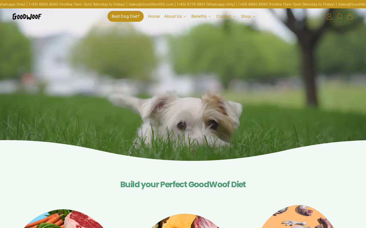 goodwoofsg.com homepage screenshot